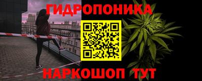 PSILOCYBIN Донской
