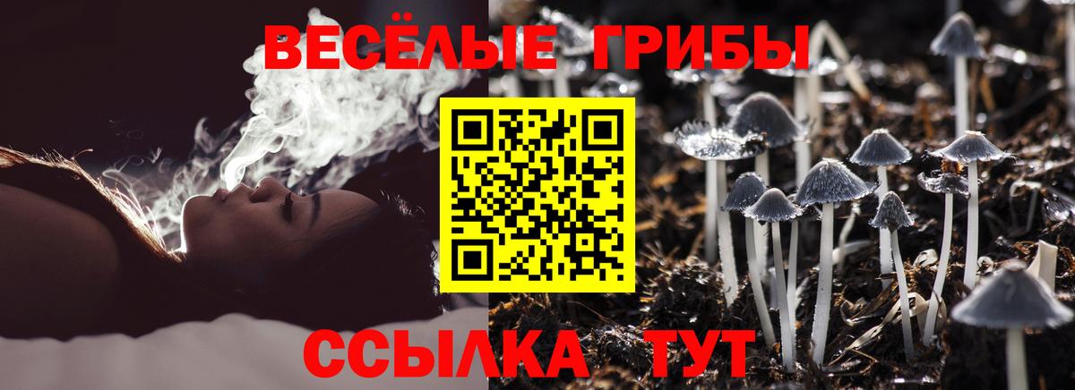 Галлюциногенные грибы Psilocybine cubensis Десногорск